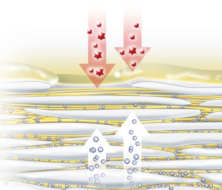 Sehr trockener Gesichtshaut fehlt es an natürlichen Feuchthaltefaktoren