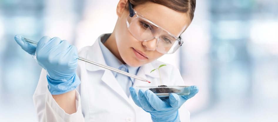 alternative Testmethoden zu Tierversuchen