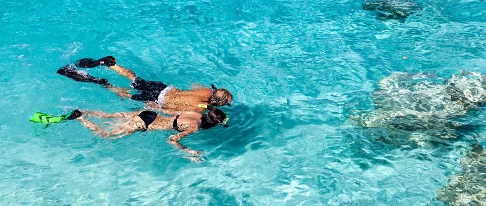 Das Hawaiianische Riffgesetz verbietet bestimmte Inhaltsstoffe von Sonnencremes